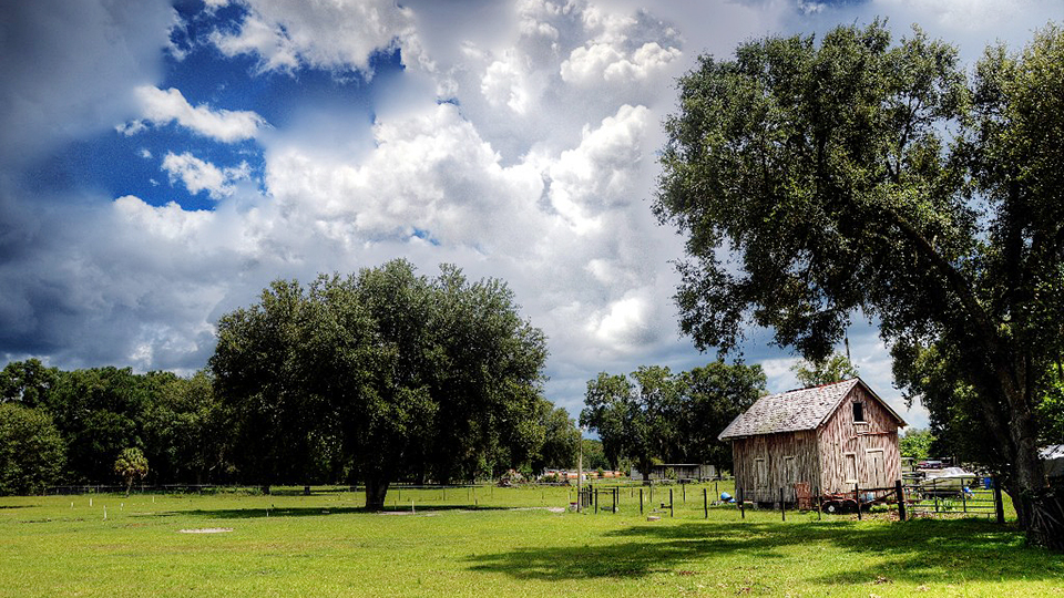 Field from Route 575 , Lacoochee