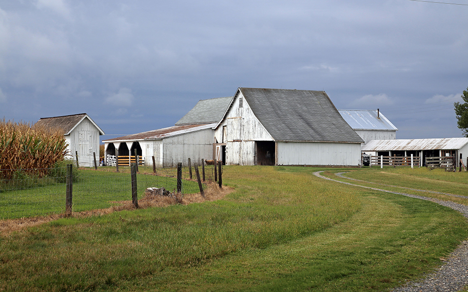 Martins Point Farm,