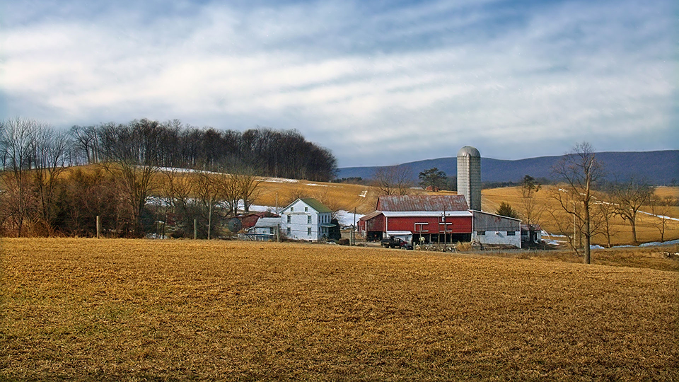 Hartsprings Farms